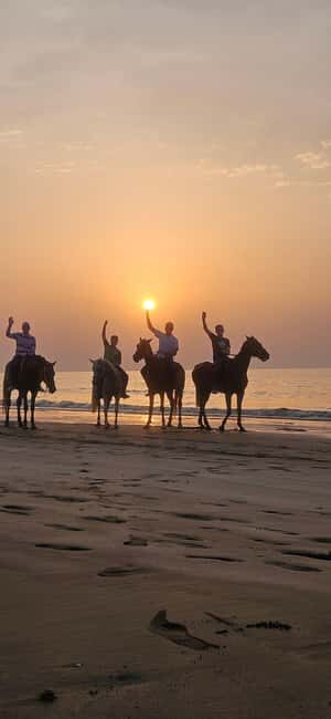 Horse Riding Muscat | Beach Horse Riding - Why You Should Consider This Tour