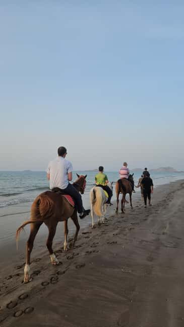 Horse Riding Muscat | Beach Horse Riding - The Sum Up