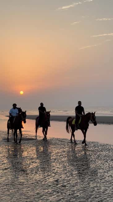 Horse Riding Muscat | Beach Horse Riding - FAQ