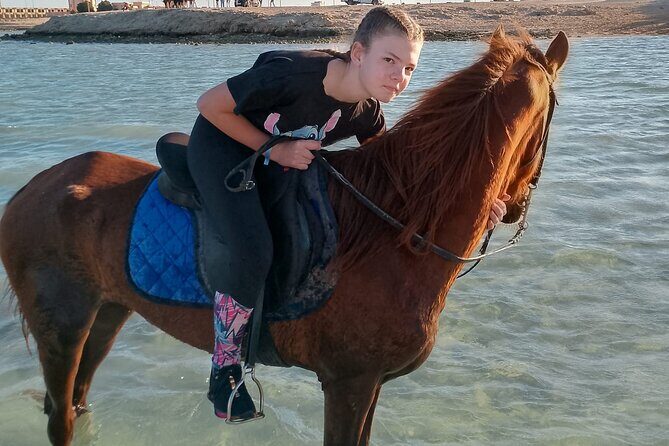 Horse Riding on the Beach And Desert 3 hours From Hurghada - Key Points