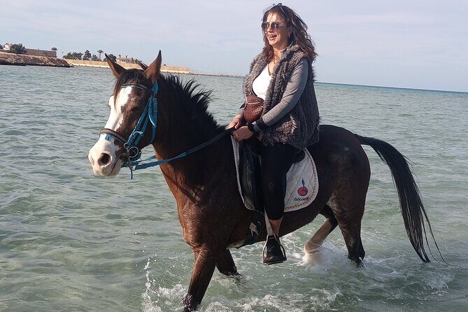 Horse Riding on the Beach And Desert 3 hours From Hurghada - Who Is This Tour Best Suited For?