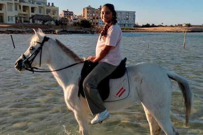 Horse Riding on the Beach And Desert 3 hours From Hurghada - FAQ