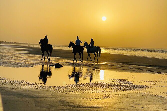 Horse Riding on the beach - Why This Tour Is Worth Considering