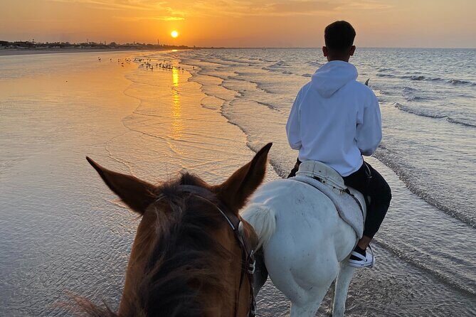 Horse Riding on the beach - The Sum Up: Is It Worth It?