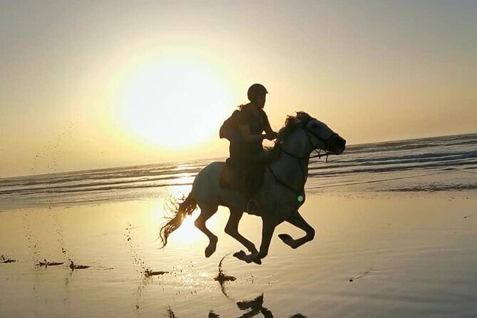 Horse riding on the beach of Essaouira 2 hours - Discover the Charm of Horseback Riding on Essaouira’s Beaches