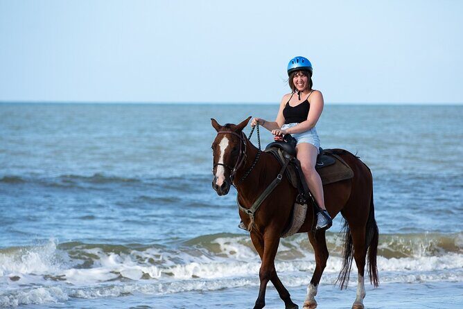 Horse Riding on the beach With Transfer From Sharm El Sheikh - Practical Details and Tips