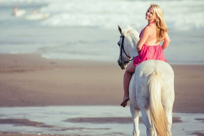 Horse Riding on the beach With Transfer From Sharm El Sheikh - Who Will Love This Experience?