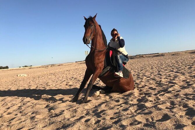 Horse Riding One hour At Amazing Desert With Transfer - Hurghada - Detailed Itinerary Breakdown