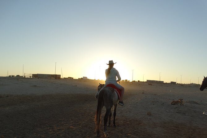 Horse Riding One hour At Amazing Desert With Transfer - Hurghada - Final Thoughts: Who Should Book This Tour?