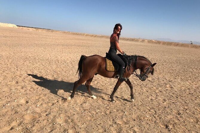 Horse Riding One hour At Amazing Desert With Transfer - Hurghada - FAQ