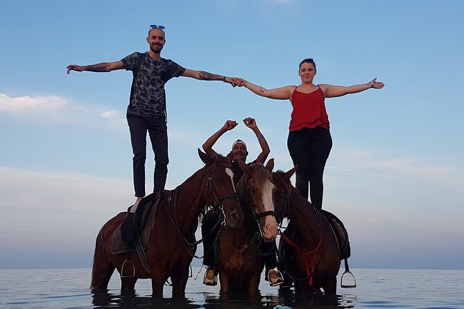 Horse Riding One hour At Amazing Desert With Transfer - Hurghada - Final Words
