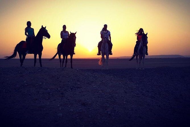 Horse Riding One Hour at Desert With Transfer - Sharm El Sheikh - Introduction