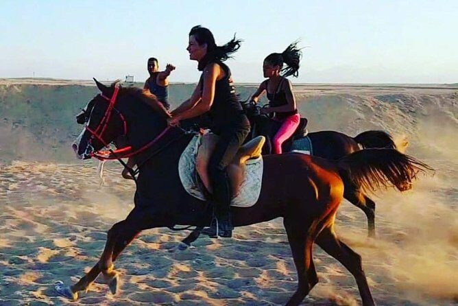 Horse Riding One Hour at Desert With Transfer - Sharm El Sheikh - Who Is This Tour Best For?