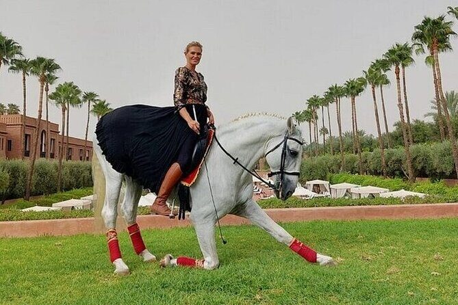Horse Riding one hour Palmeraie Grove & Transfer - Marrakesh - Introduction