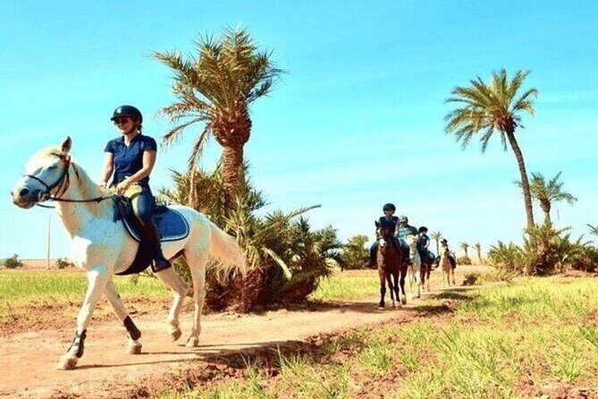 Horse Riding one hour Palmeraie Grove & Transfer - Marrakesh - Key Points