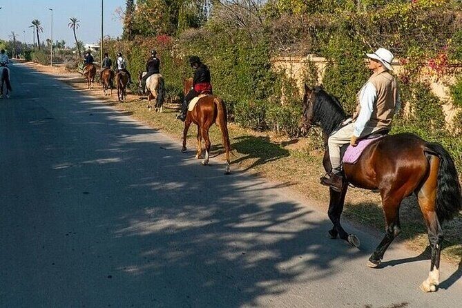 Horse Riding one hour Palmeraie Grove & Transfer - Marrakesh - What We Loved About the Tour