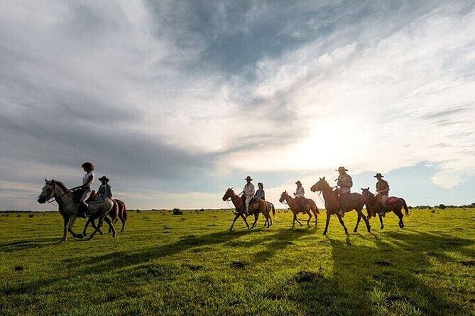 Horse Riding one hour Palmeraie Grove & Transfer - Marrakesh - Who Will Love This Tour?