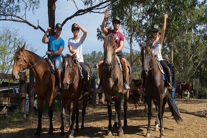 Horse Riding one hour Palmeraie Grove & Transfer - Marrakesh - FAQ