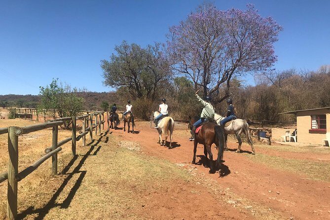 Horse riding safari from Johannesburg - An In-Depth Look at the Horse Riding Safari
