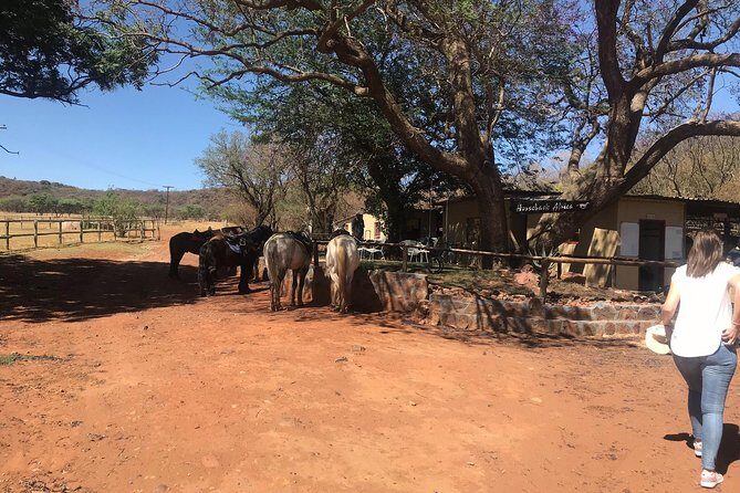 Horse riding safari from Johannesburg - FAQ