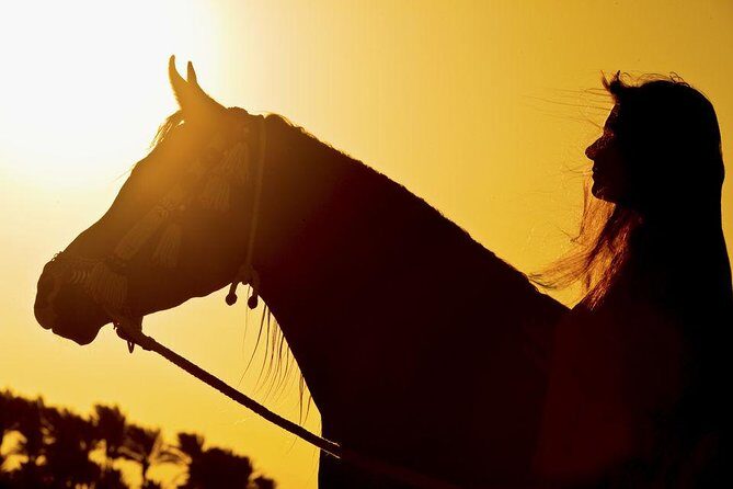 Horse Riding Tour 2 Hours on Sea And Desert & Transfer -Hurghada - FAQ