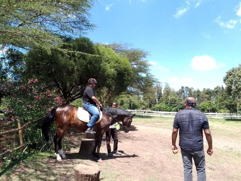 Horse Riding Tour Adventure in Nairobi - The Sum Up