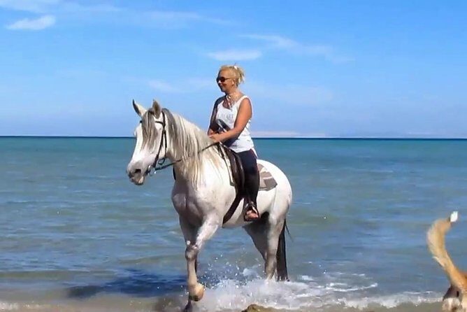 Horse Riding Tour Two Hours Sun & Sea With Transfer - Hurghada - Hurghada Horse Riding Tour Two Hours Sun & Sea With Transfer: An Honest Take