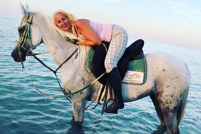 Horse Riding Tour Two Hours Sun & Sea With Transfer - Hurghada - Key Points