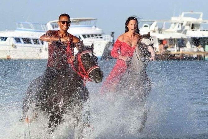 Horse Riding Tour Two Hours Sun & Sea With Transfer - Hurghada - An Honest Look at the Reviews