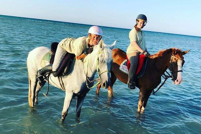 Horse Riding Tour Two Hours Sun & Sea With Transfer - Hurghada - The Itinerary in Detail