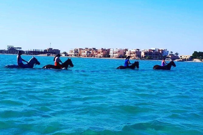 Horse Riding Tour Two Hours Sun & Sea With Transfer - Hurghada - Analyzing the Value