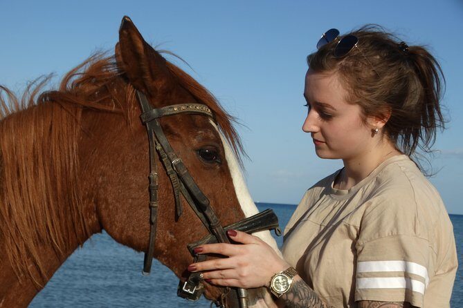 Horse Riding Tour Two Hours Sun & Sea With Transfer - Hurghada - Who Would Enjoy This Tour?