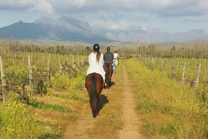 Horse Riding Wildlife Safari - Final Thoughts: Is It Worth It?