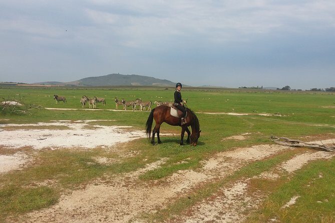 Horse Riding Wildlife Safari - FAQs