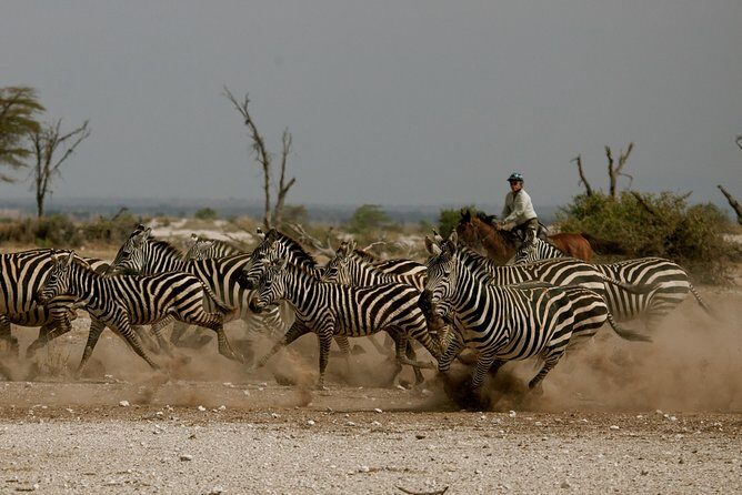 Horse safaris in Tanzania - Key Points