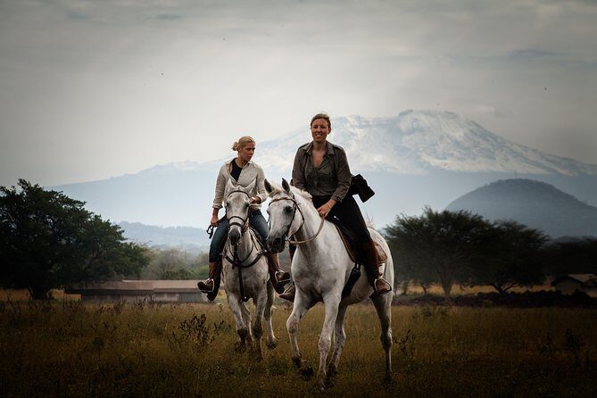 Horse safaris in Tanzania - Who Should Consider This Tour?