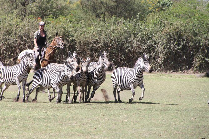 Horse safaris in Tanzania - Final Thoughts: Is It Worth It?