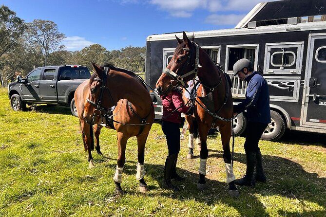 Horse Trail Ride and Wine Tasting at Adelaide Hills Winery - Who Will Love This Tour?