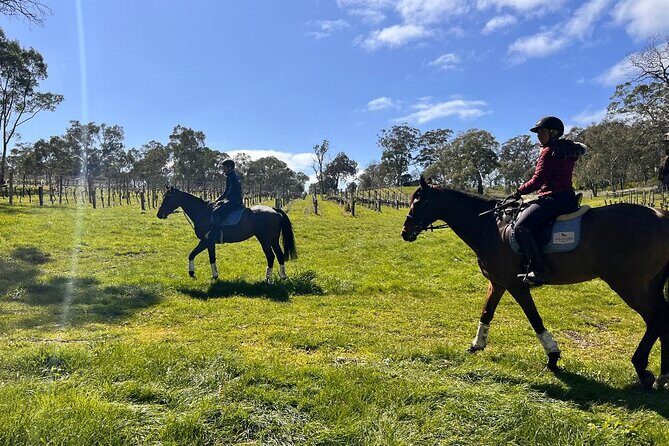 Horse Trail Ride and Wine Tasting at Adelaide Hills Winery - The Sum Up