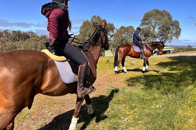Horse Trail Ride and Wine Tasting at Adelaide Hills Winery - FAQ