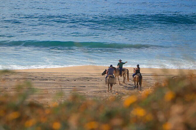 Horseback Adventures - Exploring Migrino Beach: What Makes This Tour Special