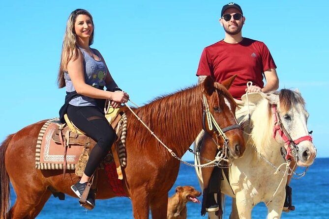 Horseback Adventures - The Sum Up: Is It Worth It?