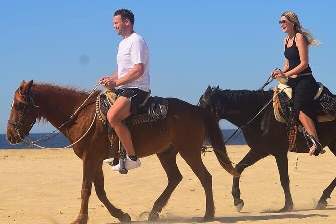 Horseback Adventures - FAQs