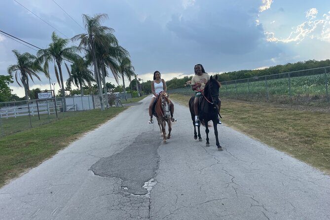Horseback Experience in Miami - What the Experience Offers