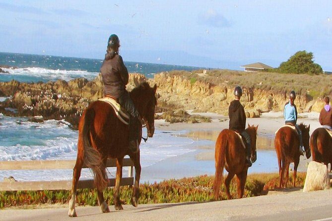 Horseback Ride & Alcatraz Prison Tickets - An In-Depth Look at the Experience