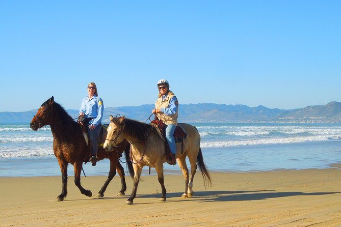 Horseback Ride & Alcatraz Prison Tickets - Practical Details & What They Mean for You