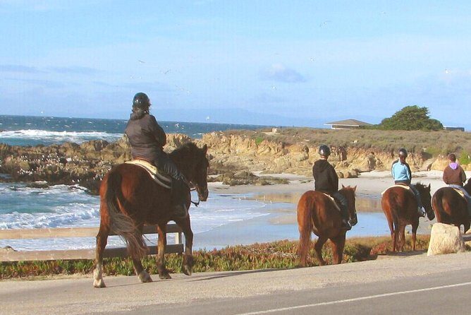 Horseback Ride & Alcatraz Prison Tickets - Who Will Love This Tour?