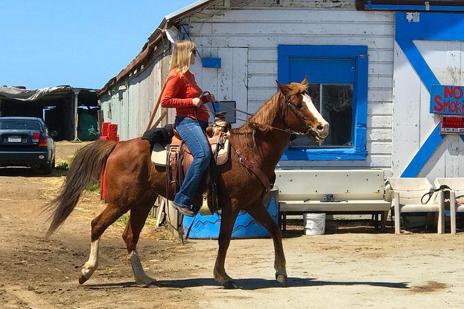 Horseback Ride & Alcatraz Prison Tickets - Final Thoughts