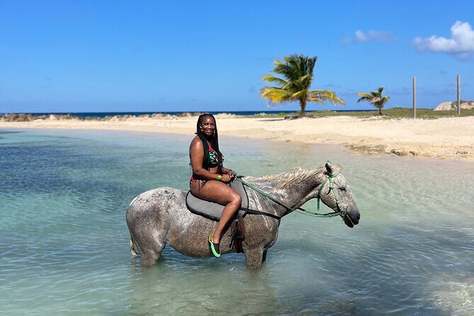 Horseback Ride and Swim Guided Tour from Montego Bay - Introduction