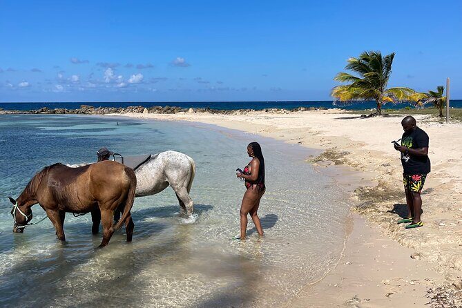 Horseback Ride and Swim Guided Tour from Montego Bay - How the Experience Has Been Received